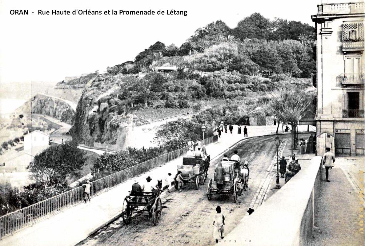 2464- Oran - Rue Haute d'Orleans et la Promenade de Letang.jpg